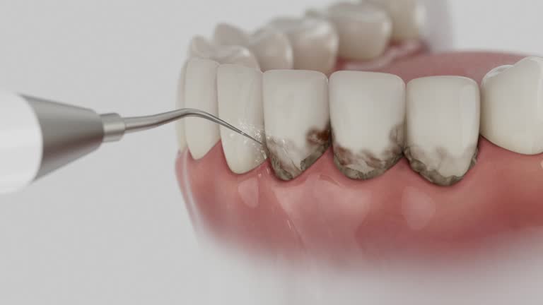 Reliable Dental contractor in Okeechobee, FL by Dentist Open Now